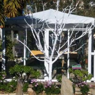 Фотографии гостевого дома
Finca Dulce