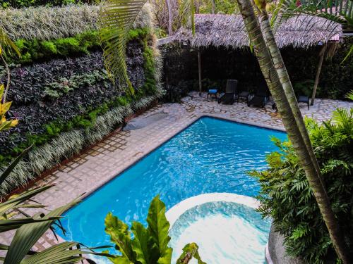 Фотография хостела Eco Hostal Yuluka