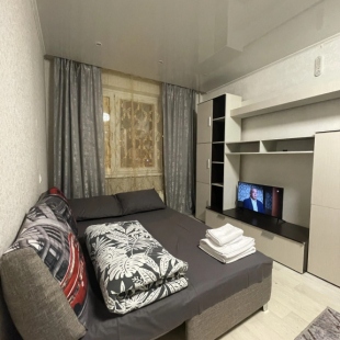 Фотография квартиры Квартира Студия в Лопатино