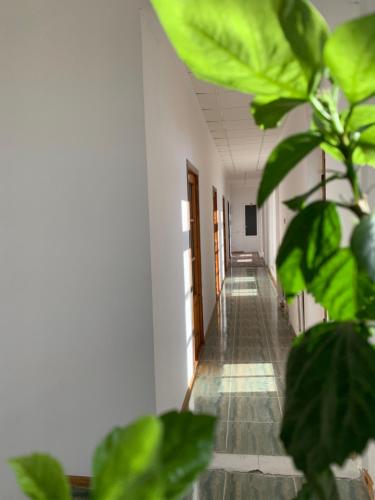 Фотография хостела Nodirai Sharif Guesthouse