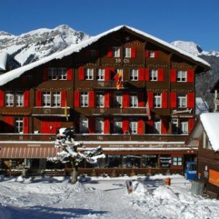 Фотография мини отеля Swiss Lodge Hotel Bernerhof