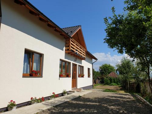 Фотография гостевого дома Pensiunea Ilea