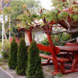 Фотография мини отеля Hotel Oswaldo