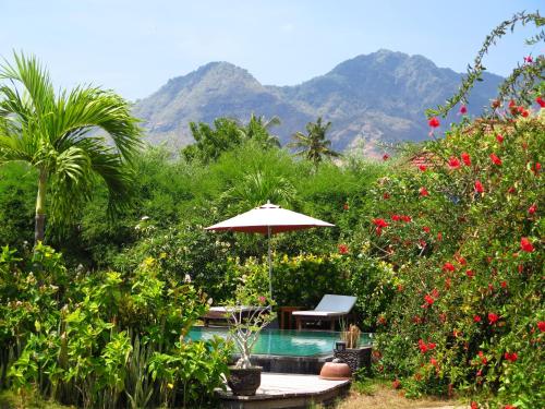 Фотография базы отдыха Sunia Loka Bungalows & Dive Center