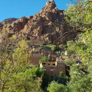 Фотография гостевого дома La Maison Traditionnelle Maison d'Hôte