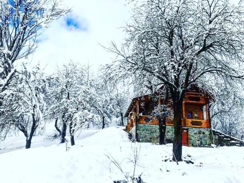 Фотография апарт отеля Rafnivskyi