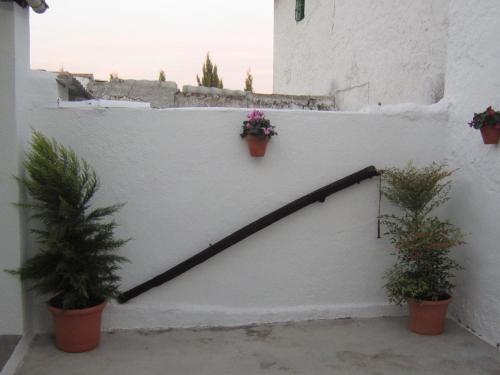 Фотография гостевого дома Casa Rural La Pedrisa