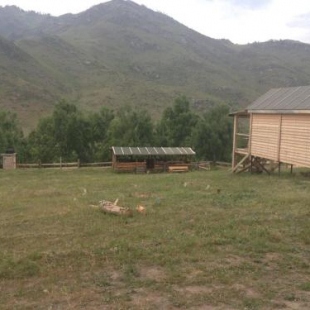 Фотография гостевого дома Robinzon04rus