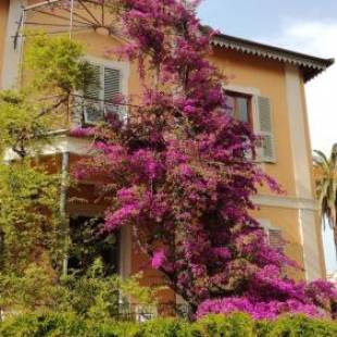 Фотографии мини отеля
La casa dei Paggi