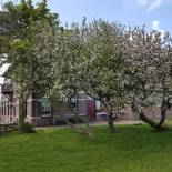 Фотография мини отеля Hunsingo Texel