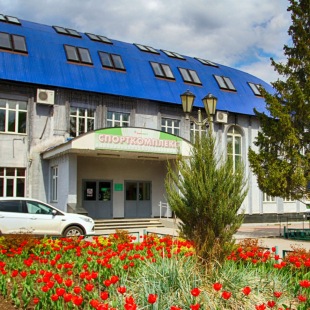 Фотография достопримечательности Спортивно-оздоровительный комплекс ПАО Татнефть НГДУ Альметьевнефть