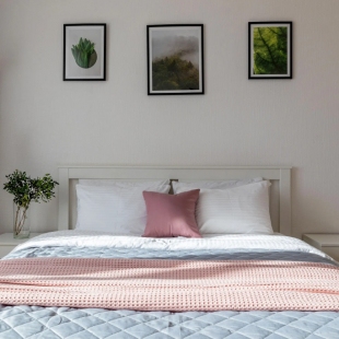 Фотография квартиры Квартира Живи в Песочном Студия Садовая 88