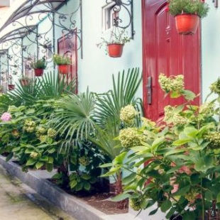 Фотография гостевого дома Виктория