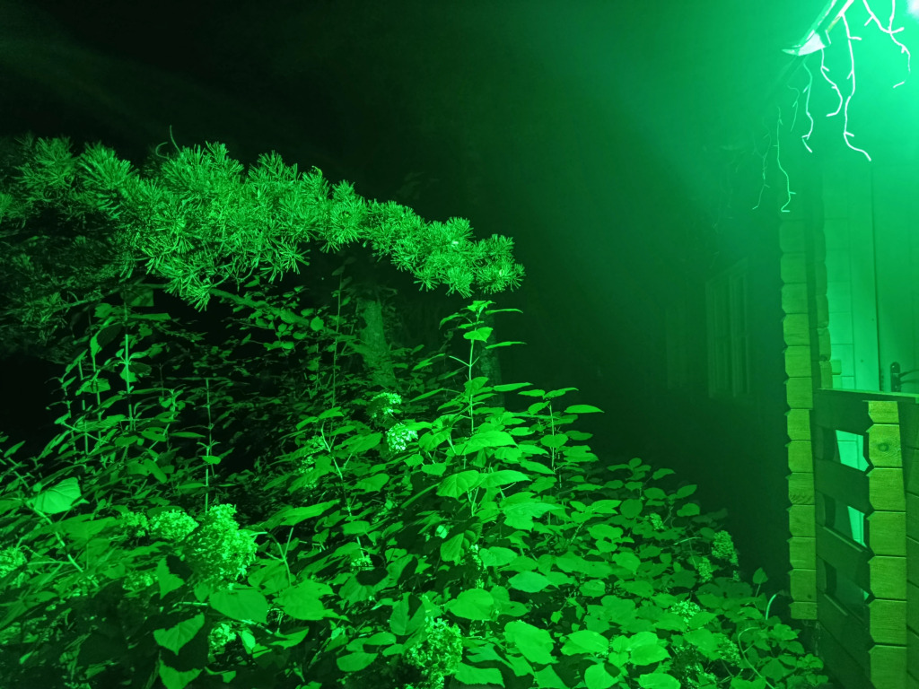 Фотография Коттеджа Частный дом Крым у Ёлки