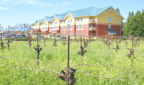 Фотография гостиницы Hilton Garden Inn Sonoma County Airport