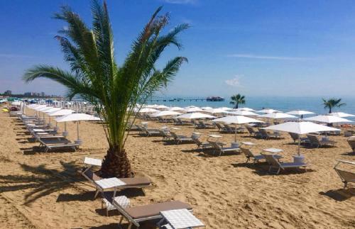 Фотография гостиницы Hotel Savoia