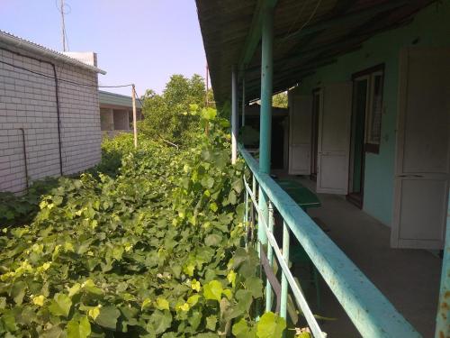 Фотографии мини отеля 
            У Татьяны