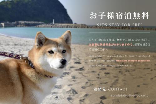 Фотография гостиницы Welcome Inn SunnySteps