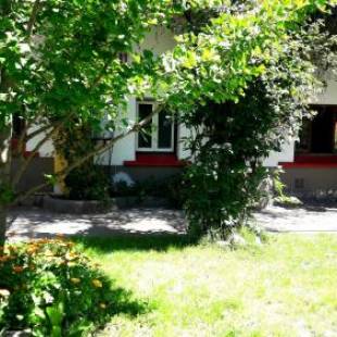 Фотографии мини отеля 
            Pura Vida Hostel