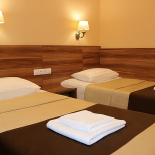 Фотография номера гостиницы Парк-отель Пушкин