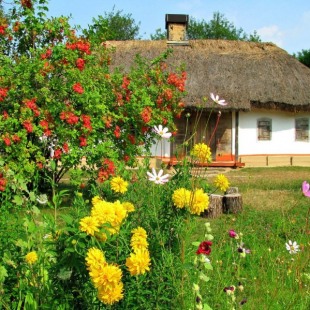 Фотография музея Музей народной архитектуры и быта «Пирогово»