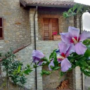 Фотографии мини отеля
La Pomella