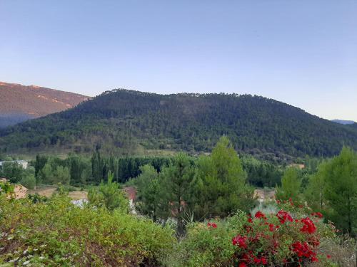 Фотография мини отеля Cibanto de las Maravillas