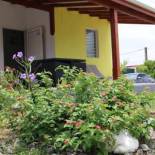 Фотография гостевого дома L'Alizée