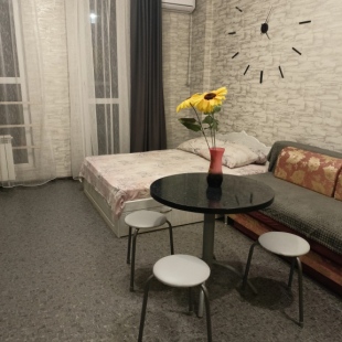 Фотография квартиры Квартира Студия в Новом Доме