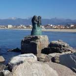 Фотография гостиницы Hotel Sauro