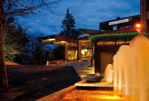 Фотографии гостиницы
Hotel Giubileo