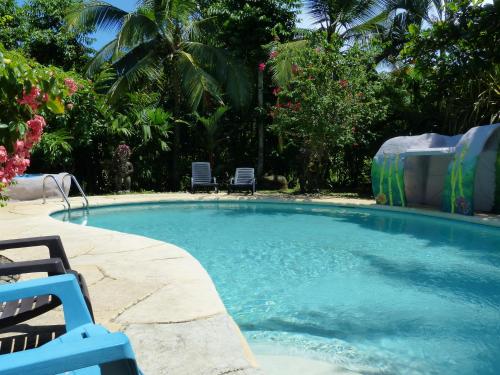 Фотография мини отеля Hotel El Colibri Rojo - Cabinas - Le Colibri Rouge