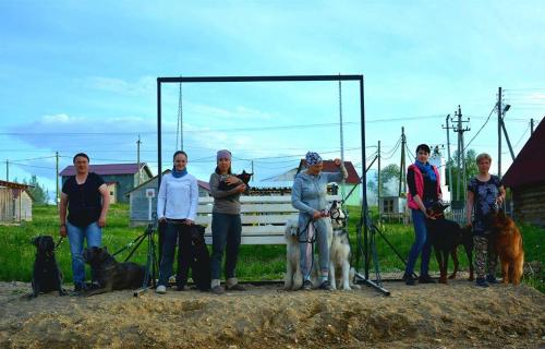 Фотографии гостевого дома
Васильки