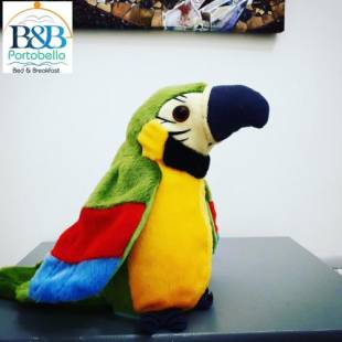 Фотографии мини отеля 
            B&B Portobello