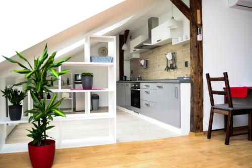 Фотография квартиры Apartmány RUMPA-DRINKS