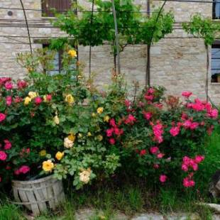 Фотографии базы отдыха
Le Mandrie Di San Paolo