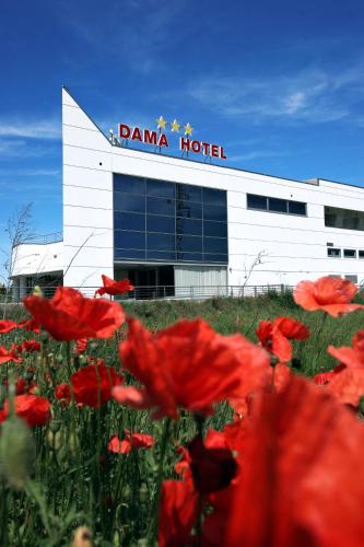 Фотография гостиницы Dama Hotel