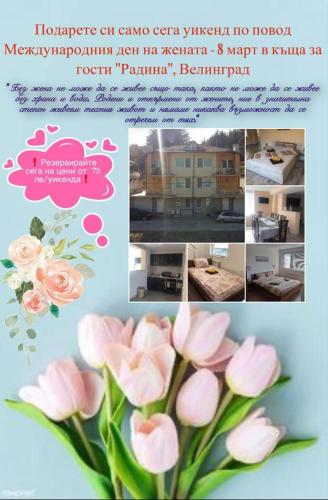 Фотография гостевого дома Къща за гости РАДИНА