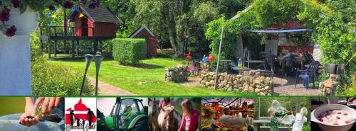 Фотография базы отдыха Stutteri Skandihest Apartments