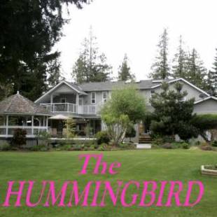 Фотографии мини отеля 
            Hummingbird Guesthouse