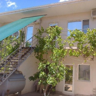 Фотография Коттеджа Druzhby Holiday House