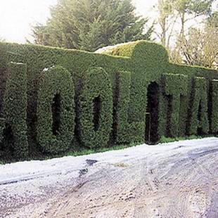 Фотографии гостевого дома
Mooltan House