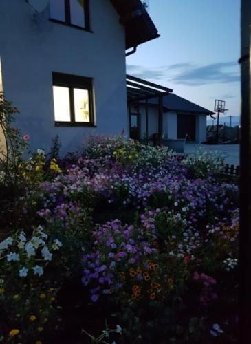 Фотография гостевого дома Casa Dora