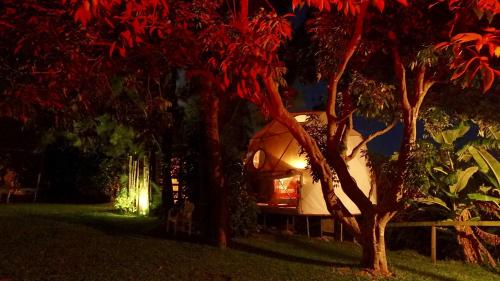 Фотография гостиницы Bubble Dome Village