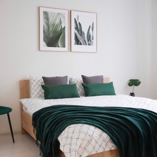 Фотография квартиры Двухкомнатная квартира с видом на Ботанический сад