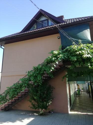 Фотографии гостиницы
Номера Люкс