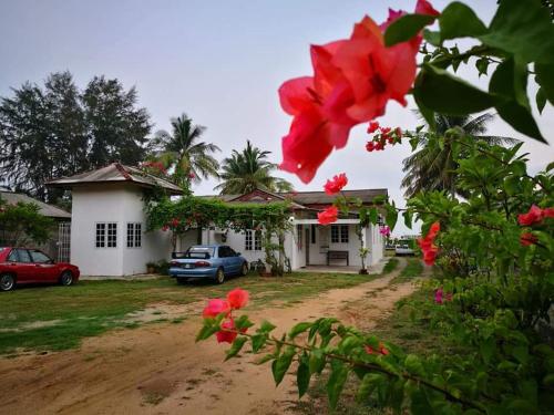 Фотография гостевого дома ALA Beach Lodge - Markisa Homestay