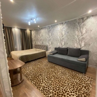 Фотография квартиры Квартира на Улице Ботвина 8 (63)