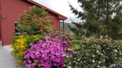 Фотография гостевого дома Casa de Sabela