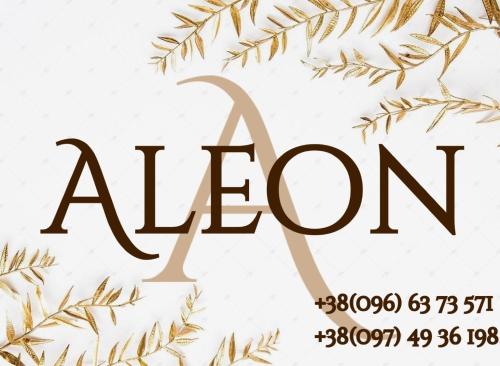 Фотографии гостиницы
ALEON